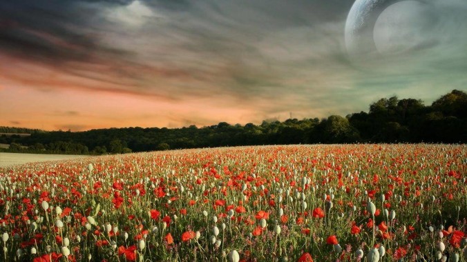 如何评价浙江这个省？